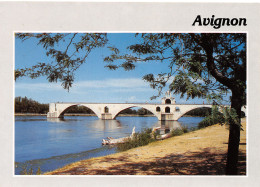 84-AVIGNON-N°3806-A/0275 - Avignon