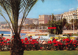 06-CANNES-N°3806-A/0239 - Cannes