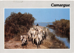 13-EN CAMARGUE-N°3806-A/0205 - Altri & Non Classificati