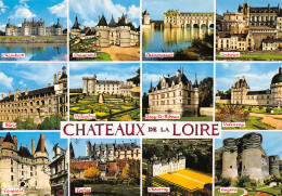 37-CHATEAUX DE LA LOIRE-N°3806-A/0159 - Other & Unclassified