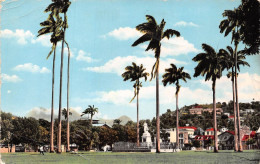 [97]  MARTINIQUE - La Place De La Savanna - -  Cpsm ± 1960 ( ͡◕ . ͡◕) ♣ - Fort De France