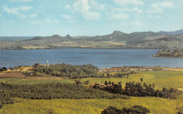 [97]  MARTINIQUE - Le Bourg Et La Baie Du Robert -  Cpsm ± 1960  ( ͡♥ ͜ʖ ͡♥) ♥ - Altri & Non Classificati