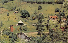 [97]  MARTINIQUE - Domaine De La Pagerie - Vue Générale -  Cpsm ± 1960 ( ͡♥ ͜ʖ ͡♥) ♥ - Otros & Sin Clasificación