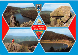 88-VOSGES LAC BLANC-N°3806-D/0333 - Altri & Non Classificati