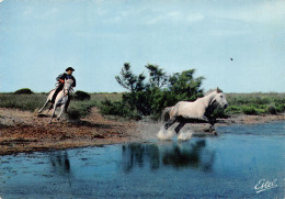 13-LA CAMARGUE-N°3806-D/0053 - Sonstige & Ohne Zuordnung