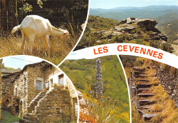 15-LES CEVENNES-N°3806-C/0315 - Andere & Zonder Classificatie