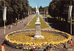 65-LOURDES-N°3806-C/0119 - Lourdes