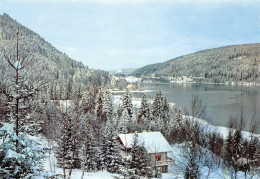 88-GERARDMER-N°3806-C/0053 - Gerardmer