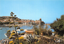 66-COLLIOURE-N°3806-B/0361 - Collioure