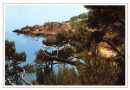 13-COTE D AZUR-N°3807-B/0357 - Andere & Zonder Classificatie