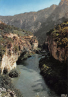 48-GORGES DU TARN-N°3807-B/0231 - Gorges Du Tarn