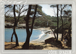 83-COTE D AZUR-N°3807-B/0067 - Autres & Non Classés