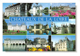 41-CHATEAUX DE LA LOIRE-N°3807-A/0353 - Altri & Non Classificati