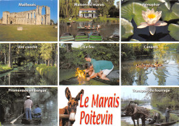 79-LE MARAIS POITEVIN-N3807-A/0119 - Altri & Non Classificati