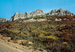 84-VAUCLUSE LES DENTELLES DE MONTMIRAIL-N°3807-D/0383 - Autres & Non Classés