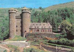 15-CHATEAU D ANJONY-N°3807-D/0271 - Sonstige & Ohne Zuordnung