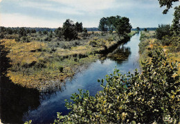 40-LES LANDES-N°3807-D/0141 - Sonstige & Ohne Zuordnung