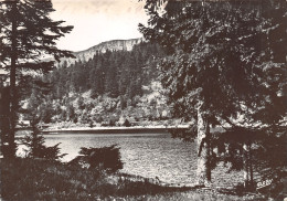 88-VOSGES LAC VERT-N°3807-D/0017 - Otros & Sin Clasificación