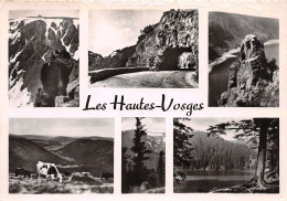 68-LES HAUTES VOSGES-N°3807-D/0021 - Otros & Sin Clasificación