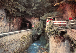 38-LE VERCORS DEFILE DES GRANDS GOULETS-N°3807-C/0375 - Autres & Non Classés