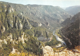 48-GORGES DU TARN-N°3807-C/0343 - Gorges Du Tarn