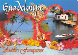 971-GUADELOUPE-N°3807-C/0273 - Andere & Zonder Classificatie