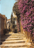 83-BORMES LES MIMOSAS-N°3807-C/0061 - Bormes-les-Mimosas