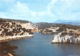 13-CASSIS-N°3807-C/0037 - Cassis