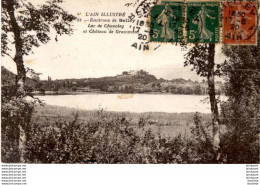 D01  BELLEY  Lac De Chavoley Et Château De Grammoin   ..... - Belley
