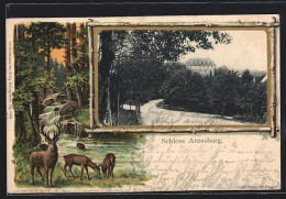 AK Arensburg, Blick Zum Schloss, Rehe Und Hirsch Am Bach  - Autres & Non Classés