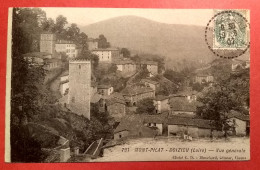 42 - LOIRE - MONT PILAT - DOIZIEU - CPA 791  - Vue Générale  - éd Blanchard (Vienne) - Andere & Zonder Classificatie