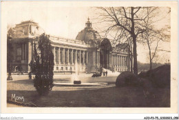 AJOP3-75-0270 - PARIS - Les Petits Tableaux De Paris - Le Petit Palais Ou Palais Des Beaux-arts De La Ville De Paris - Otros Monumentos