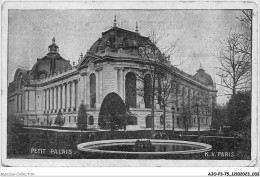 AJOP3-75-0257 - PARIS - Petit Palais  - Altri Monumenti, Edifici