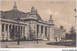 AJOP3-75-0252 - PARIS - Le Grand Palais - Other Monuments