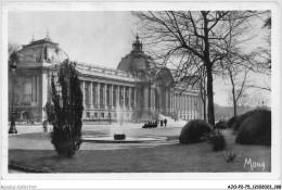 AJOP2-75-0218 - PARIS - Palais Des Beaux Arts De La Ville De Paris - Champs-Elysées