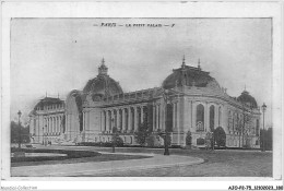 AJOP2-75-0214 - PARIS - Le Petit Palais - Sonstige Sehenswürdigkeiten