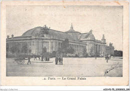 AJOP2-75-0219 - PARIS - Le Grand Palais - Altri Monumenti, Edifici