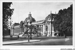 AJOP2-75-0211 - PARIS - Le Petit Palais - Small Palace - Andere Monumenten, Gebouwen