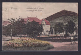 Ansichtskarte Versecz Serbien Weinberg Krankenhaus Berge Nach Wien 07.09.1913 - Serbia