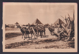 Ansichtskarte Ägypten Beduinen Caravan Pyramide In Giza Kamele - Non Classificati