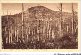 AJOP10-1032 - MONUMENT-AUX-MORTS - Hartmannswillerkopf - Le Vieil Armand - Monuments Aux Morts