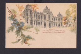 Ungarn Litho Ganzsache 2 Kreuzer Budapest Renaissance Palast - Covers & Documents