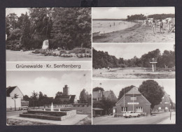 Ansichtskarte Grünewalde Senftenberg Brandenburg Park Teilansicht Naherholungsa - Autres & Non Classés