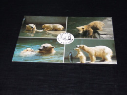 75661-         ROTTERDAM, DIERGAARDE BLIJDORP,  / BEREN / BEARS / BÄREN / OURS / ORSI / TEDDYBEARS - Bären