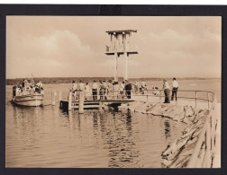 Ansichtskarte Klink Waren Müritz Mecklenburg Vorpommern Urlaubssiedlung - Other & Unclassified