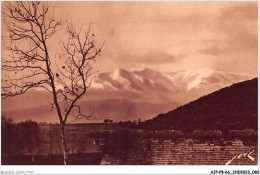 AJPP8-66-0846 - PERPIGNAN - Le Canigou Vu De La Citadelle - Perpignan