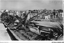 AJPP8-66-0848 - BANYULS-SUR-MER - La Promenade - Banyuls Sur Mer