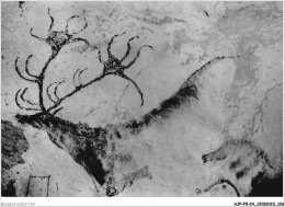 AJPP5-24-0593 - MONTIGNAC-SUR-VEZERE - Grotte De Lascaux - Diverticule Axial - Cerf - Montignac-sur-Vézère