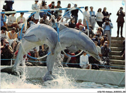 AJQP10-0987 - ANIMAUX - DAUPHINS  - Dauphins