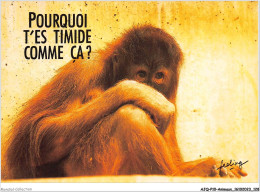 AJQP10-0998 - ANIMAUX - POURQUOI T'ES TIMIDE COMME CA  - Monkeys